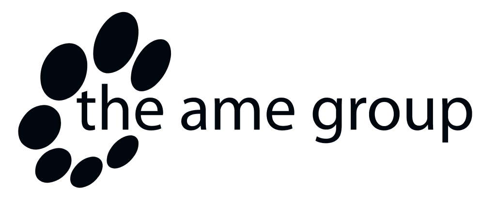 The AME Group